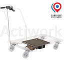 KIT ROUE MOTORISEE B-WELL POUR CHARIOT 600 KG