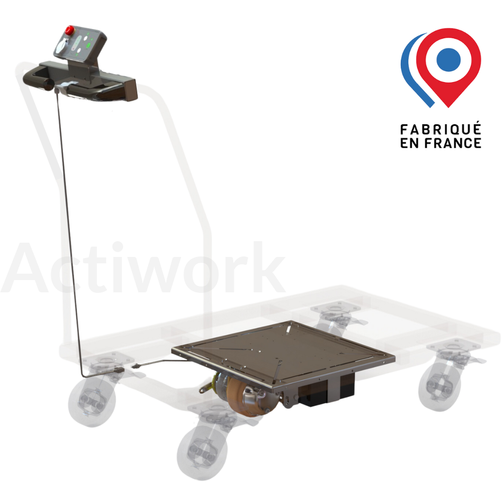 BW600 Kit roue motorisée 600 kg