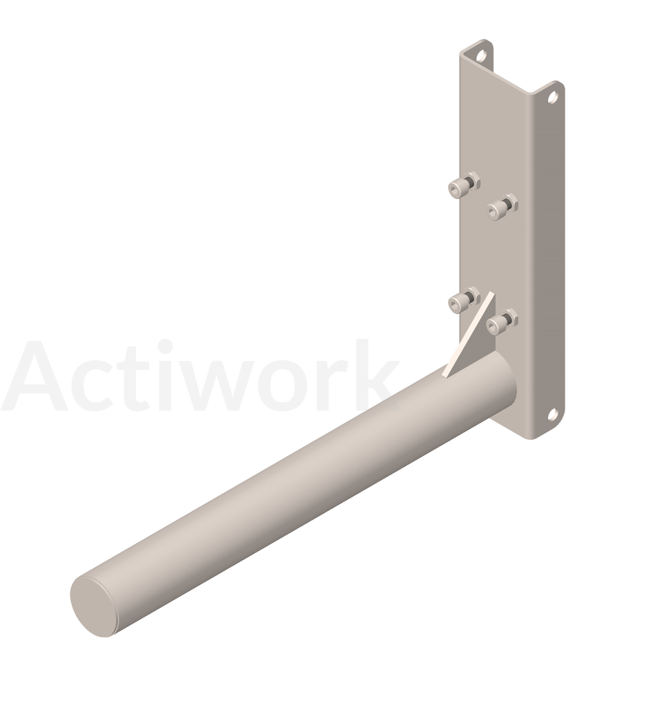 EPERON INOX 400 MM Ø 48 MM POUR ACTILIFT+ 80